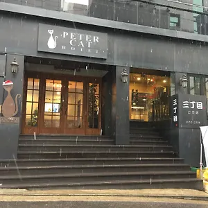 피터캣 신촌 대한민국